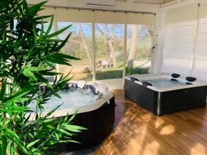 a hot tub in a room with a plant at Agriturismo Fonte Rosa in Fiastra