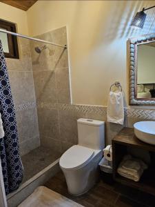 a bathroom with a toilet and a shower and a sink at Loft Candelaria Antigua in Antigua Guatemala