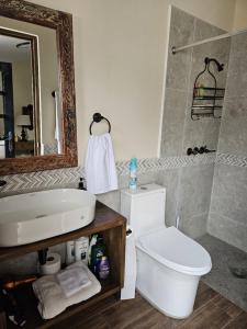 ein Badezimmer mit einem Waschbecken, einem WC und einem Spiegel in der Unterkunft Loft Candelaria Antigua in Antigua Guatemala