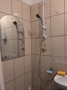 a shower in a bathroom with a mirror and a sink at Arti Studio in Braşov
