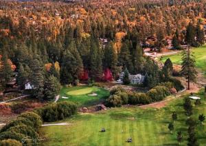 eine Luftansicht eines Golfplatzes im Wald in der Unterkunft 1 B1B lake cabin/walk to lake/Boulder bay park in Big Bear Lake