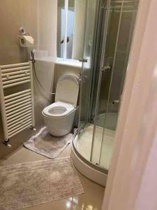 a bathroom with a toilet and a glass shower at Lovely 1 bedroom flat in Chigwell