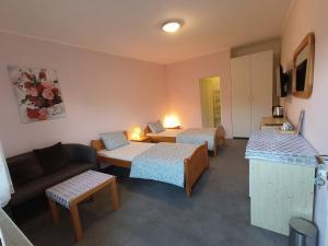 TV a/nebo společenská místnost v ubytování Cozy Room with garden in Bratislava