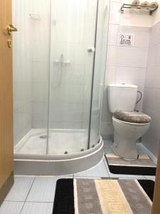 uma casa de banho com um chuveiro e um WC. em Kecskeméti Rooms em Budapeste