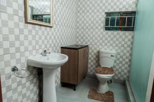 a bathroom with a sink and a toilet at Planet Golf - foxdale in Foxdale Estates
