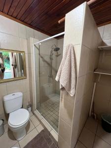 a bathroom with a shower with a toilet and a glass door at Santika Garden Cottage Stellenbosch in Stellenbosch
