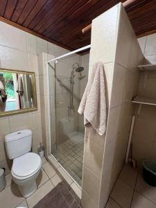 La salle de bains est pourvue d'une douche, de toilettes et d'une porte en verre. dans l'établissement Santika Garden Cottage Stellenbosch, à Stellenbosch