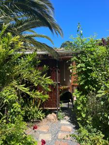 un jardin avec une chaise en face d'une maison dans l'établissement Santika Garden Cottage Stellenbosch, à Stellenbosch