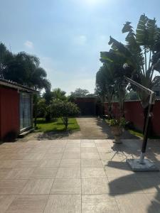 um pátio com palmeiras e um edifício em Chácara de Alto Padrão em Nova Iguaçu