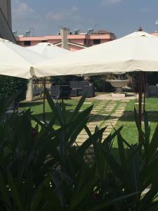 Zahrada ubytování Hotel Alba Roma