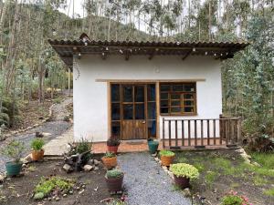 a small house with potted plants in front of it at La Roca Glamping in Arcabuco +66 photos