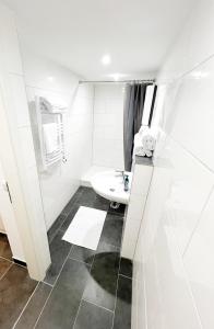 uma casa de banho branca com um lavatório e um WC em Wohnung alleinige Nutzung 30qm 4 Schlafplätze Wiesbaden em Walluf