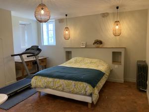 1 dormitorio con cama, cinta de correr y luces colgantes en Le Grand Monnet - Parc - 16 personnes - Rêve au Mans, en Coulaines