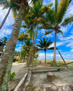 a group of palm trees on a beach at Hostal Té de Menta in Muisne