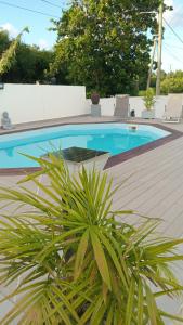 a swimming pool with two chairs and a plant at L'INSTANT PRESENT in Le Moule