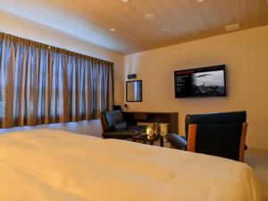 Habitación de hotel con cama y TV de pantalla plana. en Hotel New Gaea Iizuka, en Iizuka