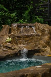 a waterfall in a pool in a garden at The Jungle Container in Quepos