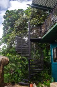 Vrt pred nastanitvijo The Jungle Container