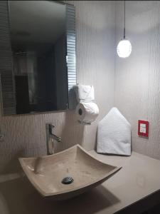 a bathroom with a sink and a mirror at Hotel Revi Inn in Valle de Bravo