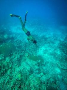 a person is swimming in the ocean at Korovou Eco Tour Resort in Naviti Island