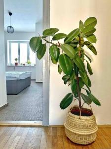 Uma cama ou camas num quarto em Bright and central suite with a balcony