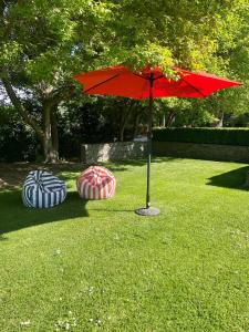 a red umbrella in the grass with three cookies at Studio 585 in Alexandra