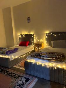 - une chambre avec 2 lits lumineux dans l'établissement Cozy private room in downtown kasr nile, au Caire