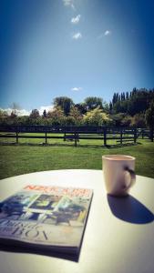 une tasse de café assise sur une table avec un magazine dans l'établissement Studio 585, à Alexandra