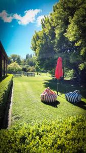 アレクサンドラにあるStudio 585の公園の芝生に三本の傘