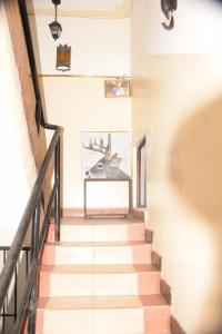 蒙巴萨Cingaki Hotel的相册照片