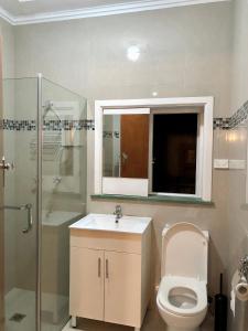 ein Bad mit einem WC, einem Waschbecken und einer Dusche in der Unterkunft Study/Sun room attached MQ Park/Uni/Eastwood/Ryde Spacious room in Sydney