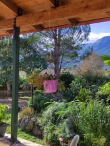 a view of a garden from the porch of a house at VILLA DOROTHY STUDIO in Delphi
