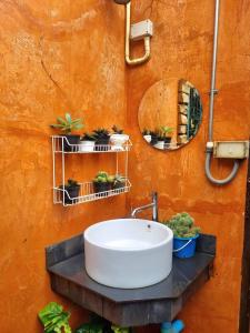 uma casa de banho com um lavatório e plantas numa parede em Cat A Camp - Khao Yai 