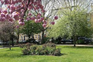 a park with pink flowering trees and buildings at Stunning 1BR Flat, 3 min to Elephant & Castle Tube in London