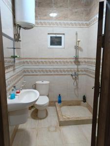 a bathroom with a toilet and a sink at Traveler's house in Jerash