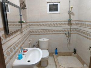 La salle de bains est pourvue de toilettes et d'un lavabo. dans l'établissement Traveler's house, à Jerash