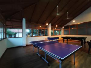 Stolní tenis v ubytování Hill Crest Resort - Coorg nebo okolí