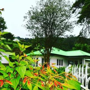 una cerca blanca frente a una casa con un árbol en Waterfield Bungalow by Liyozi Leasiure, en Nuwara Eliya