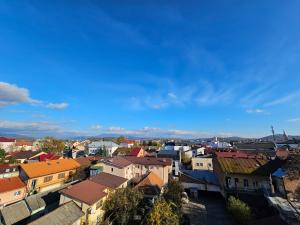 vista su una città con case e edifici di Mountain View Lux with balcony a Mukačevo