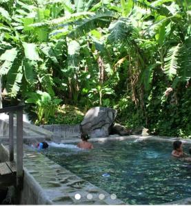 eine Gruppe von Personen, die in einem Schwimmbad schwimmen in der Unterkunft VillaBadlou "Lodge Ti-Kaco Vanille" in Trois-Rivières