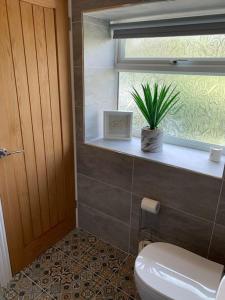 ein Bad mit einem WC, einem Fenster und einer Pflanze in der Unterkunft Old Canal-Side Cottage Taff Trail Merthyr Tydfil in Abercanaid + 58 Fotos