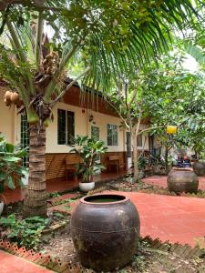 a house with large pots in front of a tree at ISLAND HOMESTAY TIỀN GIANG in Ấp Tân An Thi