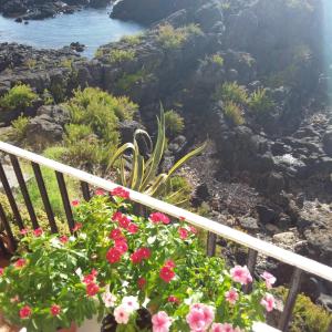 a balcony with flowers and a view of the ocean at Hotel Orpheus in Giardini Naxos