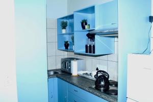a kitchen with blue cabinets with plants on shelves at La Cura Stay in Johannesburg +4 photos