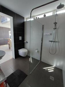 a bathroom with a glass shower and a toilet at Is- Sienja in Kalkara