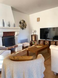 ein Wohnzimmer mit einem Sofa und einem Tisch in der Unterkunft Les Lauriers Blancs, villa avec piscine in LʼIsle-sur-la-Sorgue