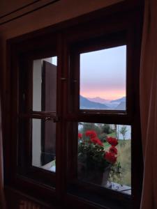 a window with a view of a flower pot with red flowers at Villa Bochert in Zuoz