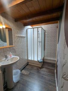 La petite salle de bains est pourvue d'un lavabo et d'une douche. dans l'établissement Le Gîte de la Perheux, à Wildersbach
