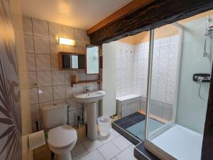 La salle de bains est pourvue de toilettes, d'un lavabo et d'une douche. dans l'établissement Le Gîte de la Perheux, à Wildersbach