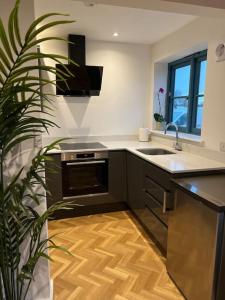 a kitchen with a sink and a plant in it at The Orchard - Ground Floor Flat in Bristol